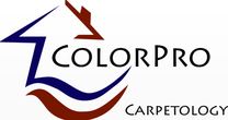 Tyler Carpet Cleaning ColorPro